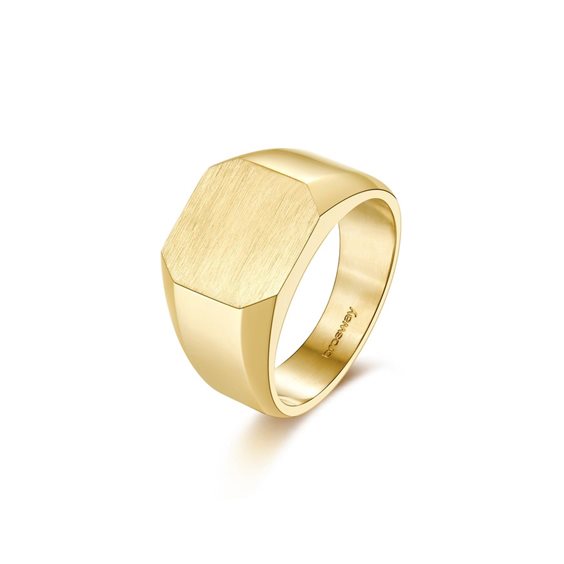 Ringe Brosway Herr ink in Stahl BIK32A-19 - BIK32A-19